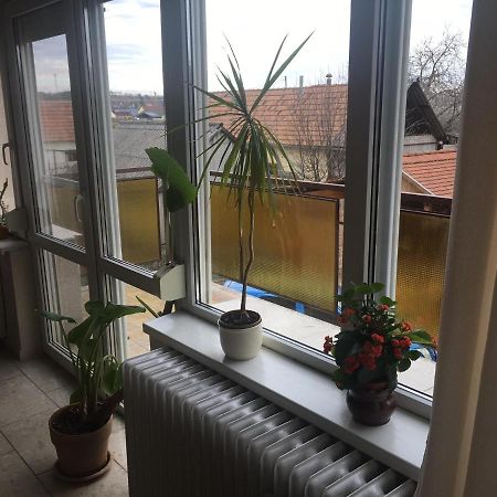 Tompos Vendeghaz Es Pince Hotel Villány Buitenkant foto